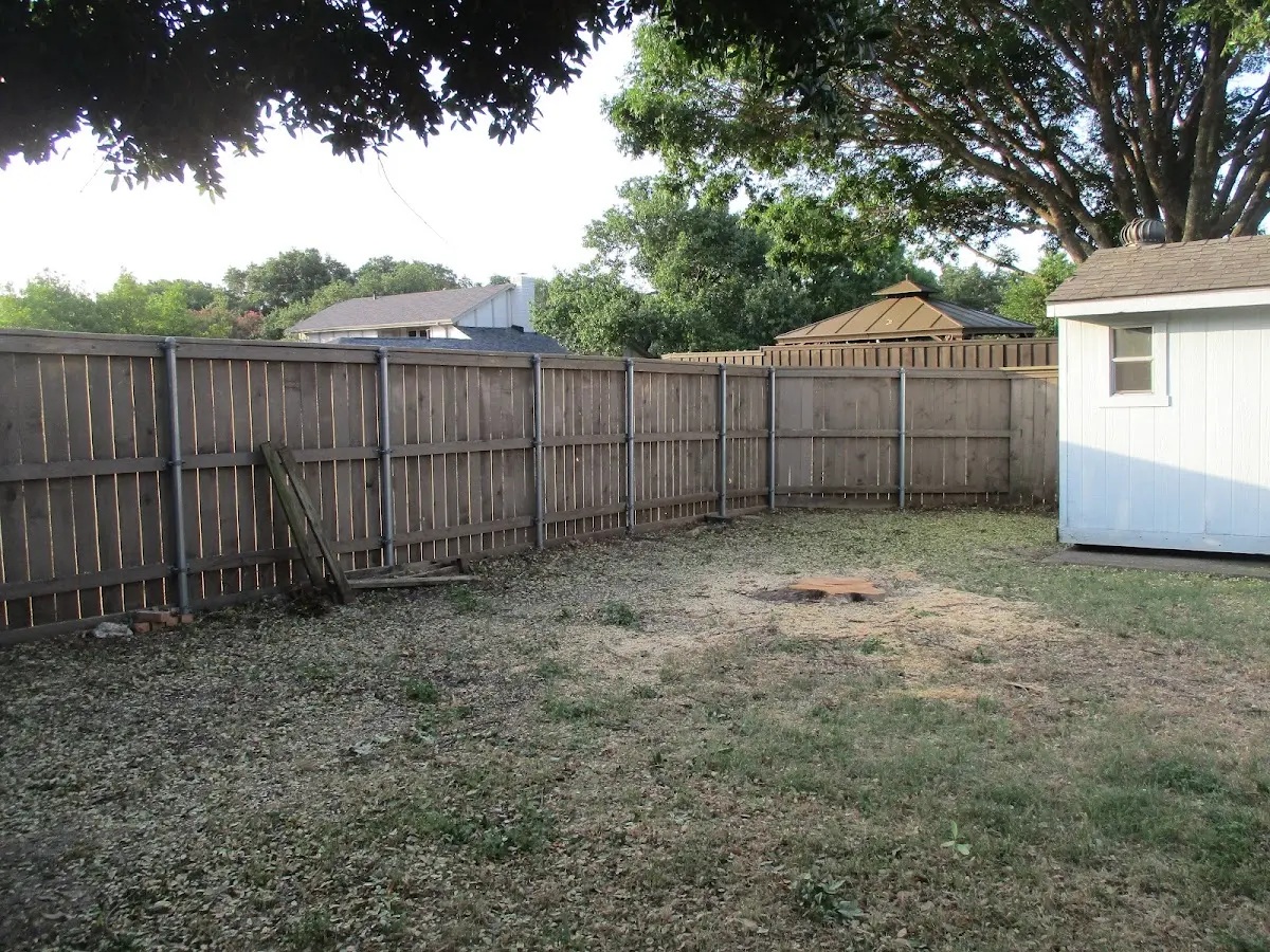 Cleared yard after professional tree removal in The Sea Ranch